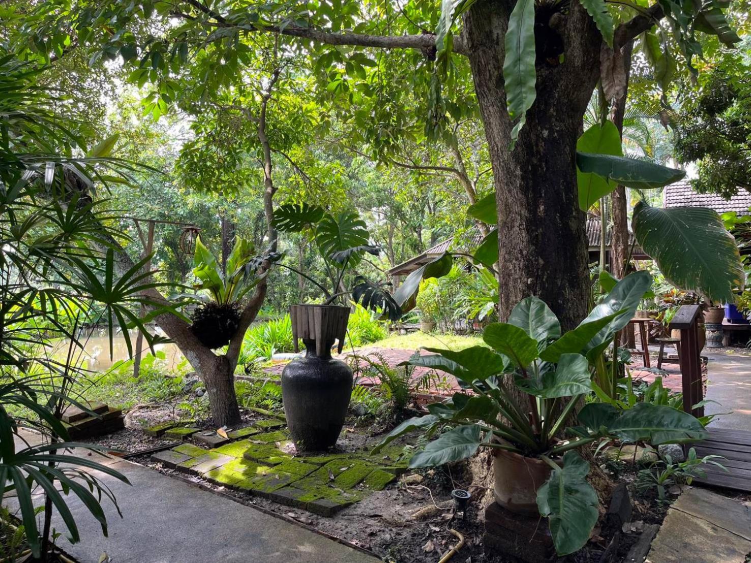 Tongluang Inthanon Homestay โต้งหลวงอินทนนท์โฮมสเตย์ Chom Thong Bagian luar foto